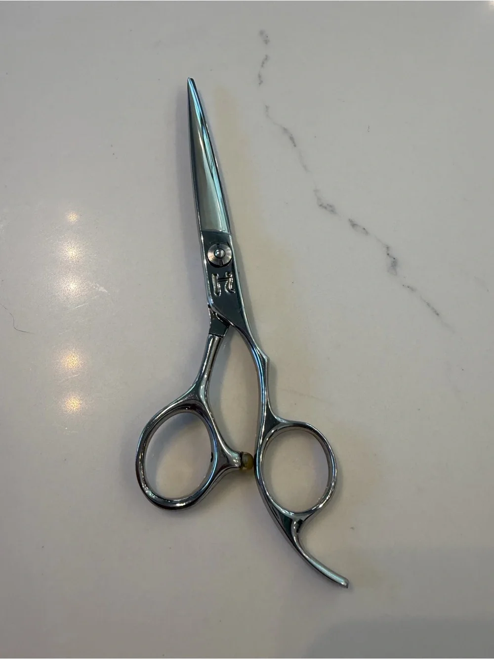 Professional Stainless Steel Grooming Scissors - Silver